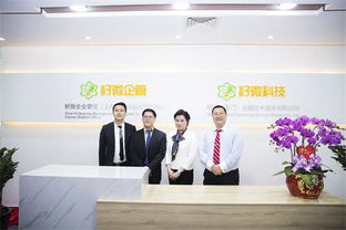 籽微企管廈門分公司成立，以專業(yè)網(wǎng)站建設(shè)服務(wù)助力福建中小微企業(yè)成長